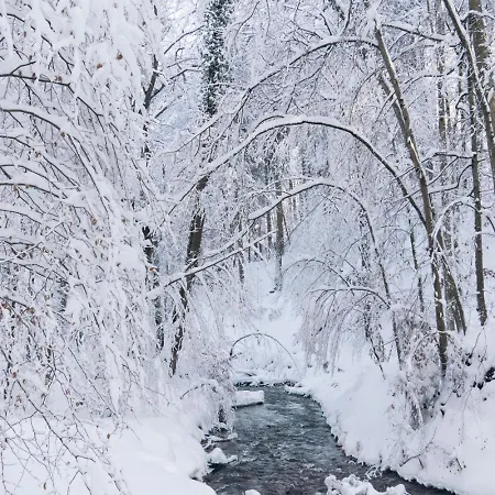 Rueckzugsort Mitten Im Paradies *