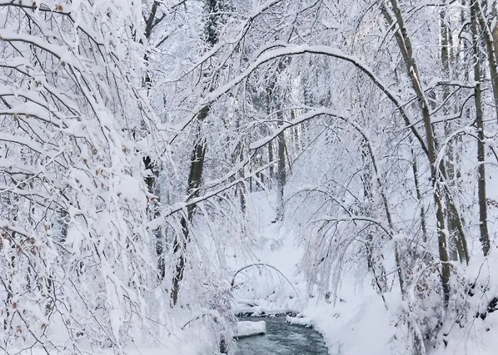 Rueckzugsort Mitten Im Paradies *